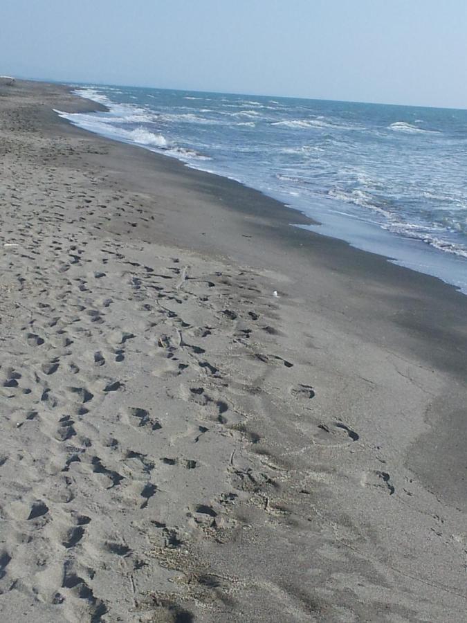 Ccc Holiday Properties Le Vele Ccc Montalto di Castro Luaran gambar