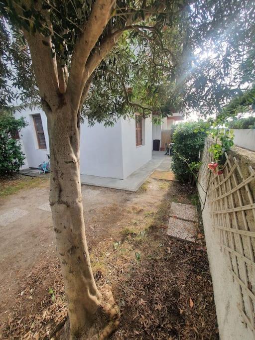 Ccc Holiday Properties Le Vele Ccc Montalto di Castro Luaran gambar