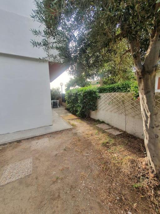 Ccc Holiday Properties Le Vele Ccc Montalto di Castro Luaran gambar