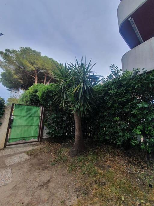 Ccc Holiday Properties Le Vele Ccc Montalto di Castro Luaran gambar