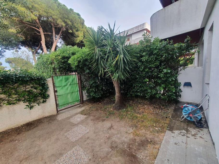 Ccc Holiday Properties Le Vele Ccc Montalto di Castro Luaran gambar