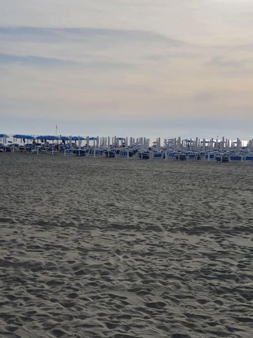 Ccc Holiday Properties Le Vele Ccc Montalto di Castro Luaran gambar