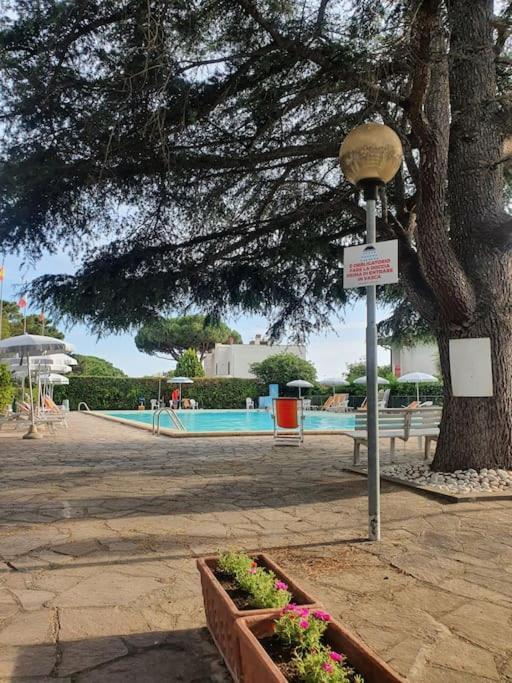 Ccc Holiday Properties Le Vele Ccc Montalto di Castro Luaran gambar