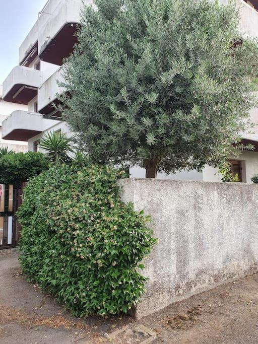 Ccc Holiday Properties Le Vele Ccc Montalto di Castro Luaran gambar