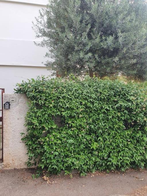Ccc Holiday Properties Le Vele Ccc Montalto di Castro Luaran gambar