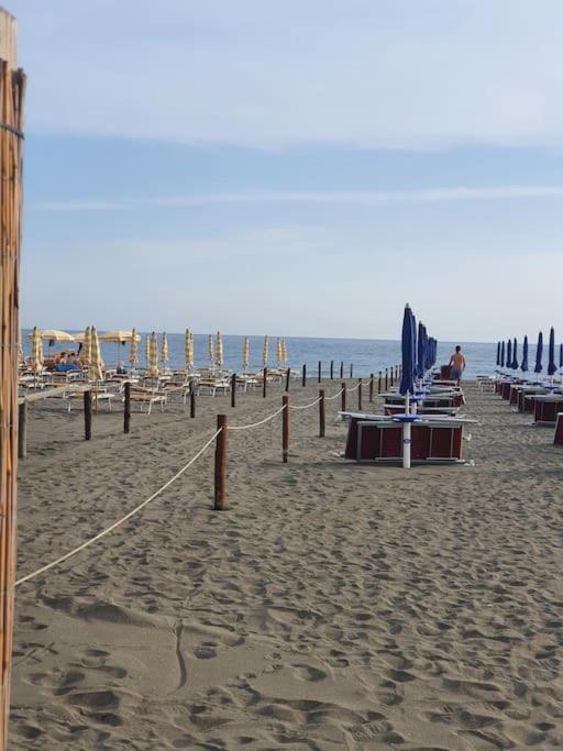 Ccc Holiday Properties Le Vele Ccc Montalto di Castro Luaran gambar