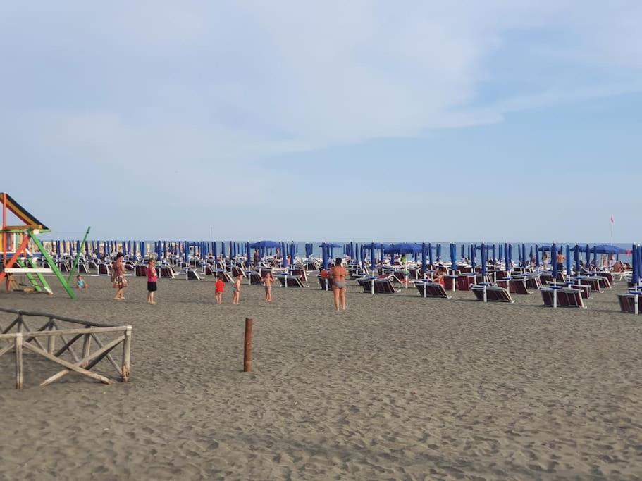 Ccc Holiday Properties Le Vele Ccc Montalto di Castro Luaran gambar