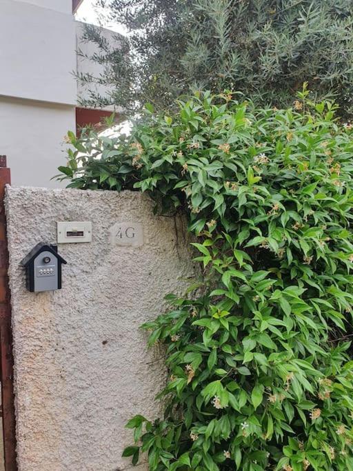 Ccc Holiday Properties Le Vele Ccc Montalto di Castro Luaran gambar