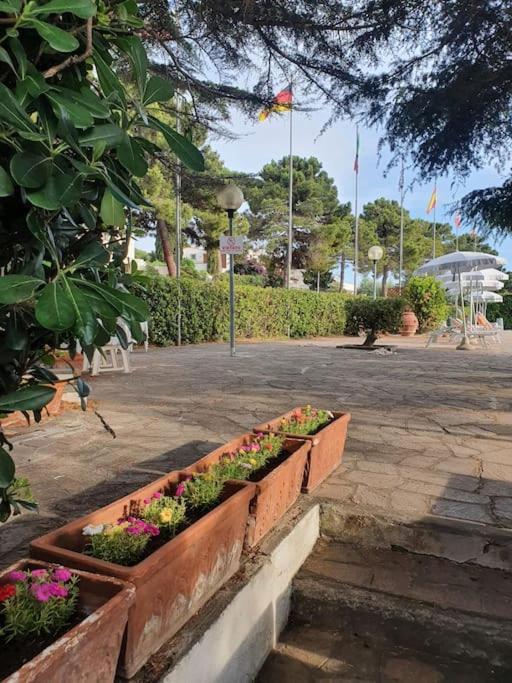Ccc Holiday Properties Le Vele Ccc Montalto di Castro Luaran gambar