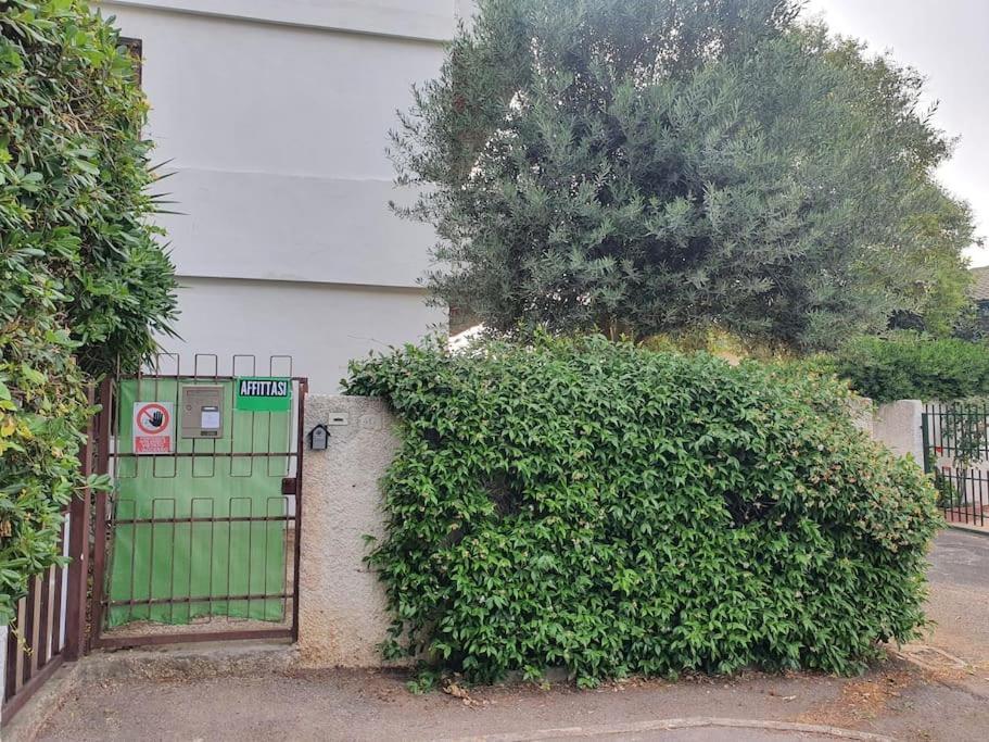 Ccc Holiday Properties Le Vele Ccc Montalto di Castro Luaran gambar
